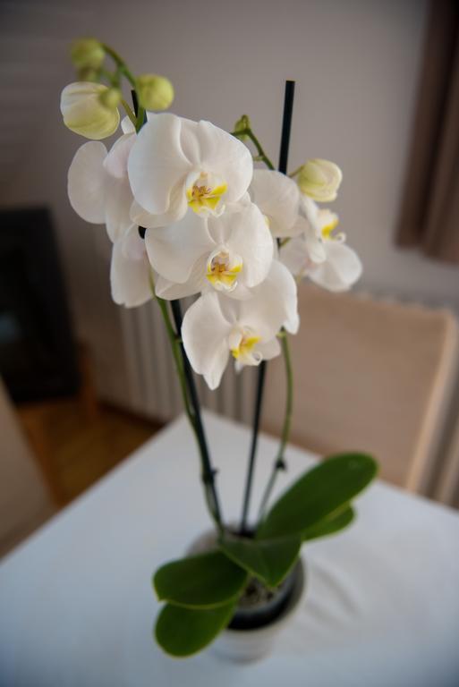 Barcza Vendeghaz Hotel บาลาตอนฟือเรด ภายนอก รูปภาพ